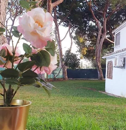 Estudio Na Falesia Albufeira Exterior foto