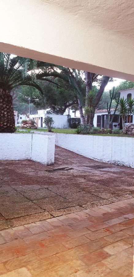 Apartment Estudio Na Falesia